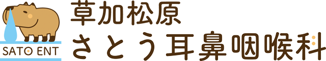 草加松原 さとう耳鼻咽喉科
